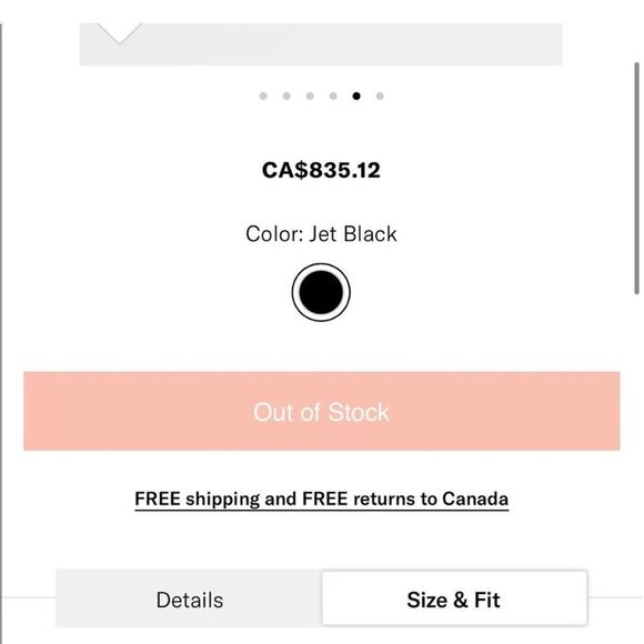 🇨🇦WANT LES ESSENTIELS mini valencia satchel - Picture 7 of 16